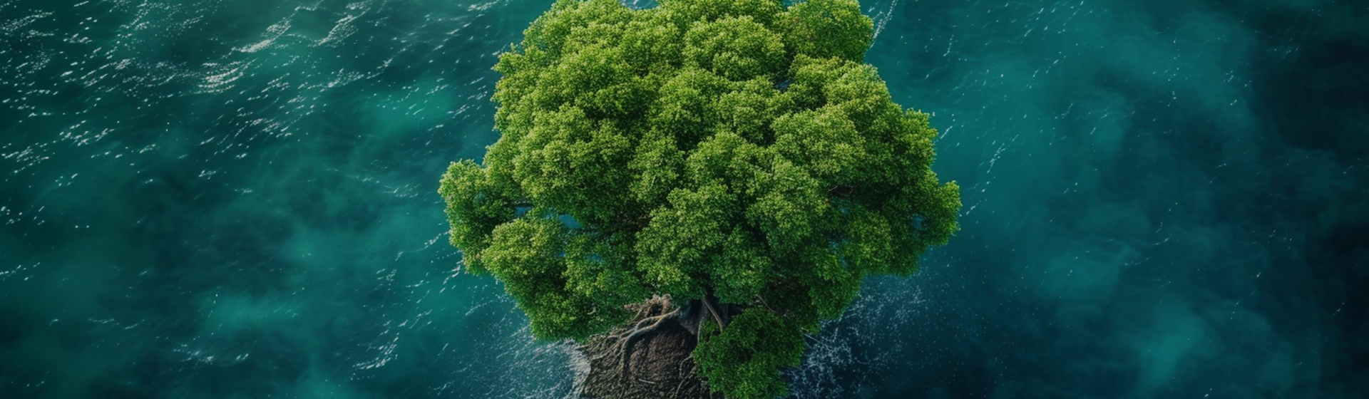 Ningbo Aikang Alüminyum Folyo Technology Co., Ltd.